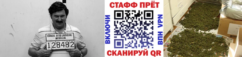  Кокаин Железногорск