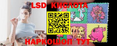 гашик Будённовск