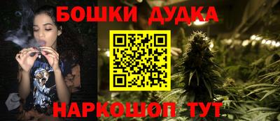 гашик Будённовск