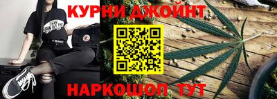 гашик Будённовск