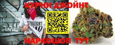 гашик Будённовск