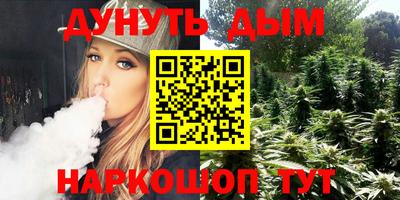 гашик Будённовск