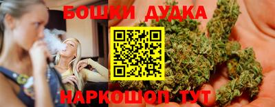 гашик Будённовск