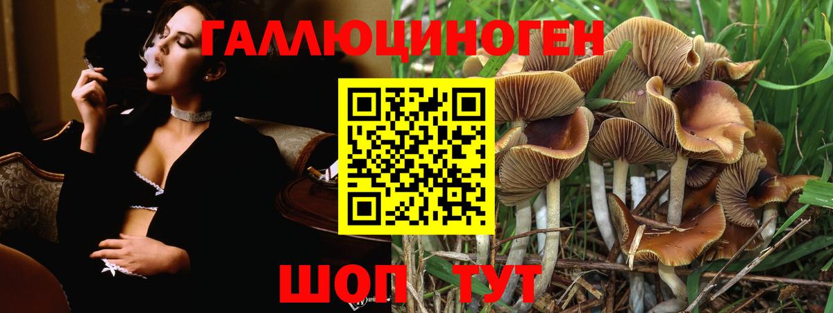 Железногорск  Галлюциногенные грибы MAGIC MUSHROOMS  Вход с VPN  Галлюциногенные грибы прущие грибы 